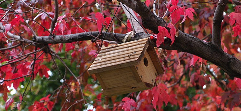 Hanging Bird House